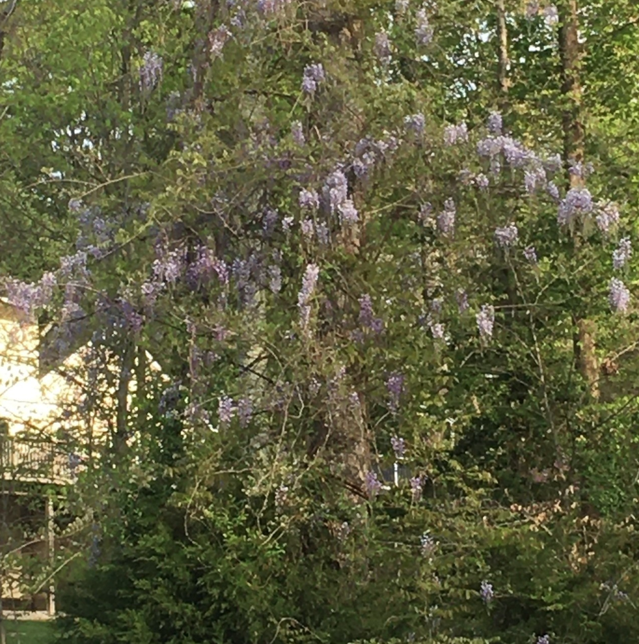 Screenshot 2026 04 10 070313