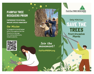 Fairfax PRISM Brochure