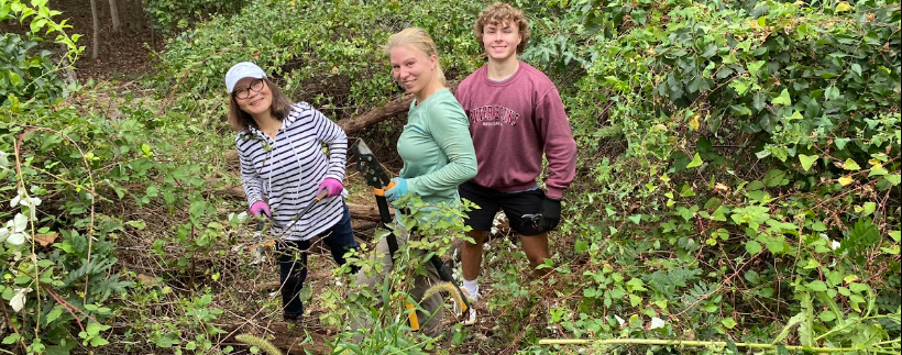 Three women working on invasives